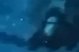 今年会体育网站-尤文图斯惊险步步为营，最终晋级(尤文图斯换帅难夺意甲冠军)