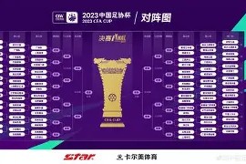 今年会娱乐官网-西南亚球队客场失利，小组出线前景凌乱的简单介绍